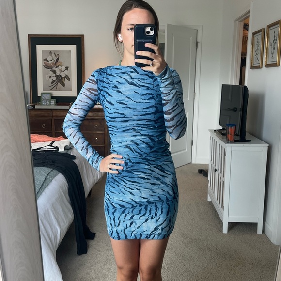 princess polly baby blue dress Zara | Dresses | Zara Blue Tiger Print Long Sleeve Dress